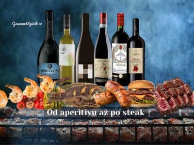 Prémiová vína ke grilovacímu menu | Párování podle Gourmetspirit.cz
