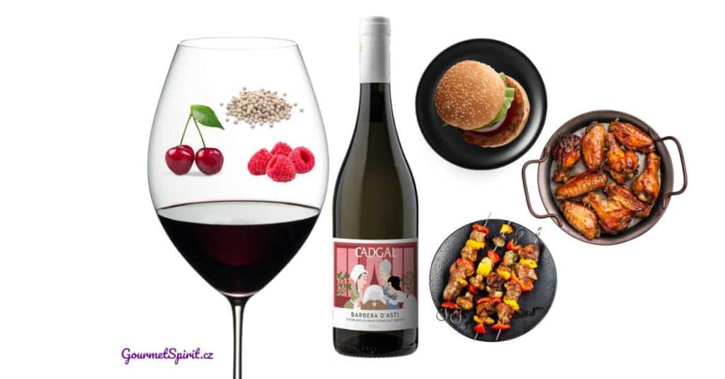 CADGAL MAVI Barbera d'Asti | Párování s jídlem podle Gourmetspirit.cz