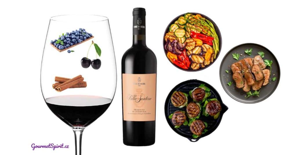 Leone di Castris Primitivo di Manduria | Párování s jídly podle GourmetSpirit.cz