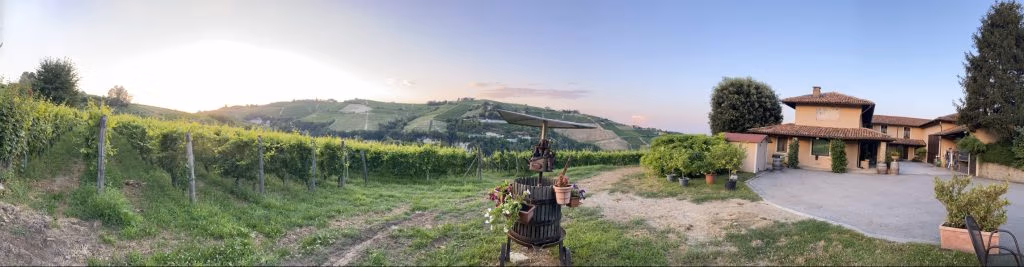 Ca' d' Gal Moscato d' Asti