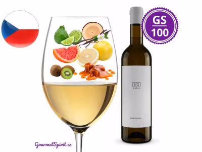 Fabig Big Sauvignon 2023 | Gourmetspirit.cz