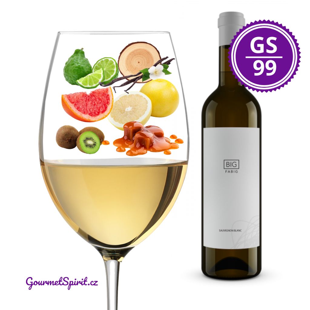 Fabig Big Sauvignon 2023
