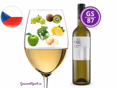 Fabig Sauvignon Blanc Stará Hora 2023 | GourmetSpirit.cz
