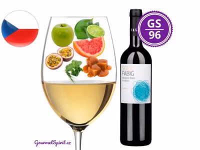 Fabig Sauvignon Blanc Reserve Na Výsluní 2021 | GourmetSpirit.cz