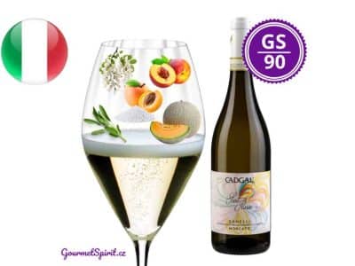 CADGAL Moscato Canelli Sant'Ilario 2022