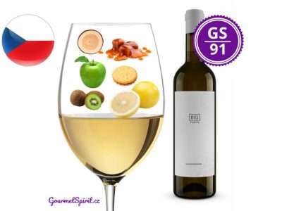 Fabig Big Sauvignon 2017 | GourmetSpirit.cz
