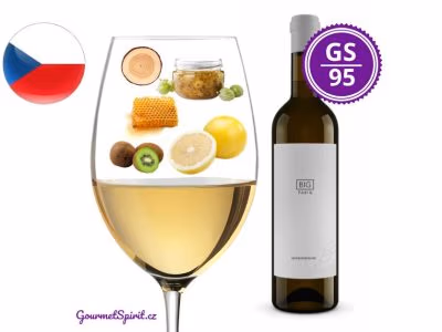 Fabig Big Sauvignon 2018 | Gourmetspirit.cz