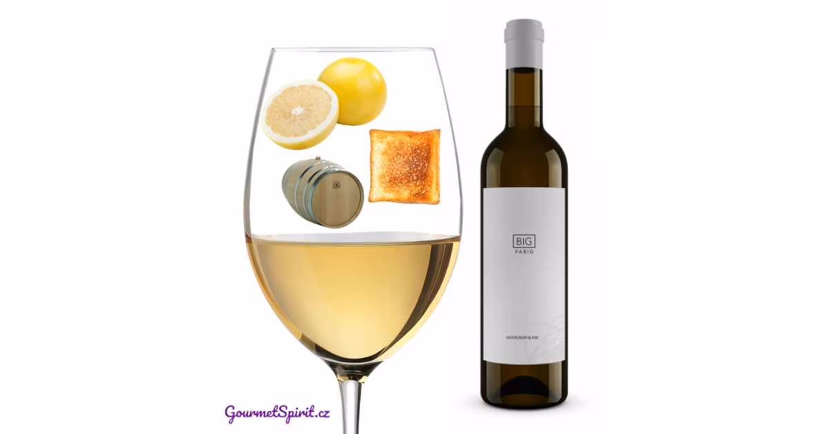 Fabig Big Sauvignon 2021 | Gourmetspirit.cz