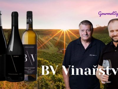 B\V vinařství