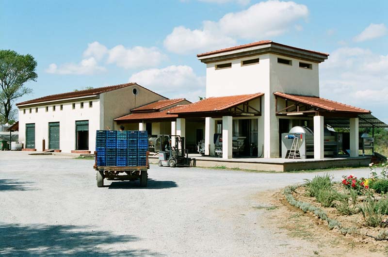 Domaine Tselepos