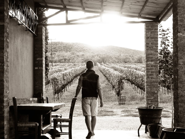 Markovitis winery