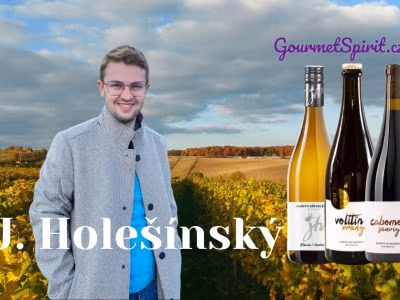 Vinařství Jiří Holešínský