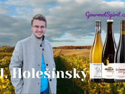 Vinařství Jiří Holešínský