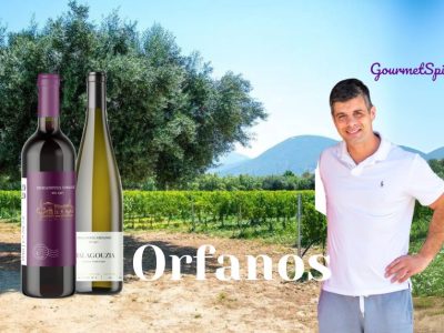 Orfanos víno, Orfanos vinařství, Ktima Orfanos