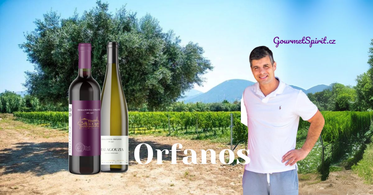 Orfanos víno, Orfanos vinařství, Ktima Orfanos