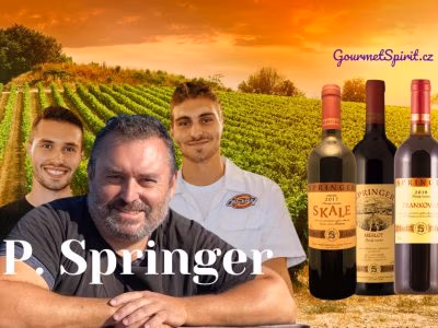Vinařství Springer, Pavel Springer