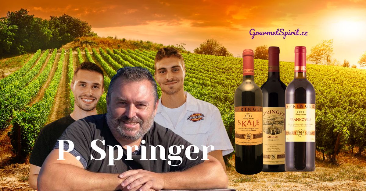 Vinařství Springer, Pavel Springer