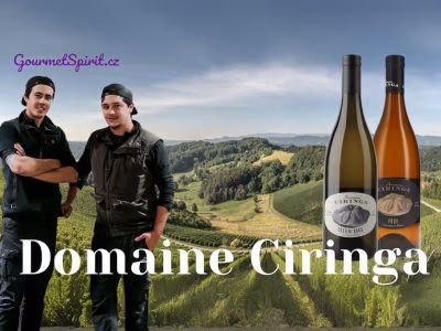 Domaine Ciringa, víno Tement Slovinsko