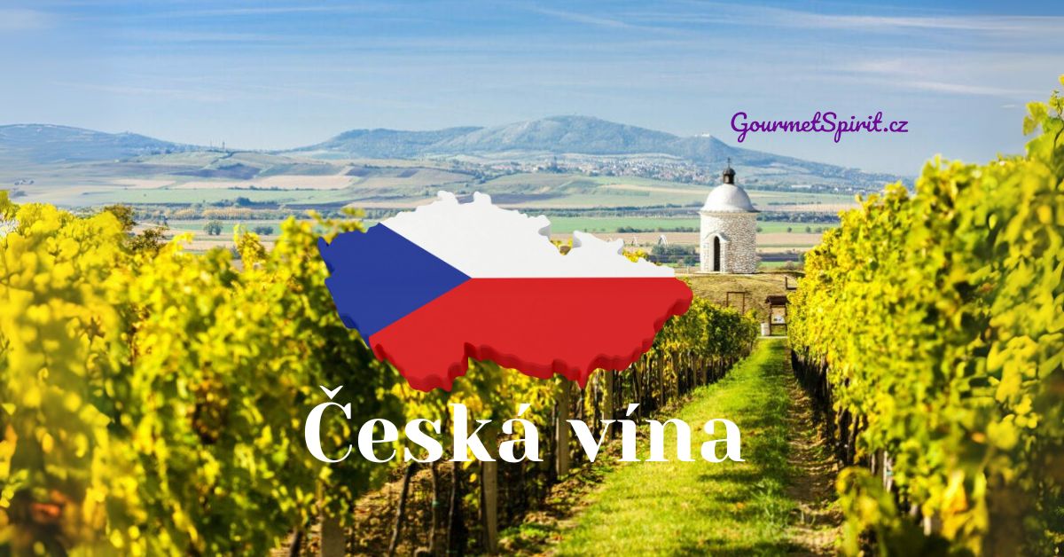Česká vína - vína z Moravy a Čech