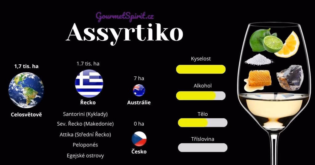 Odrůda Assyrtiko infografika podle gourmetspirit.cz