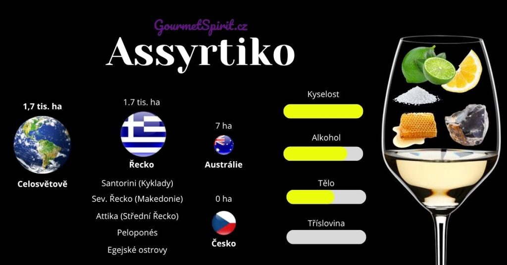 Odrůda Assyrtiko infografika podle gourmetspirit.cz