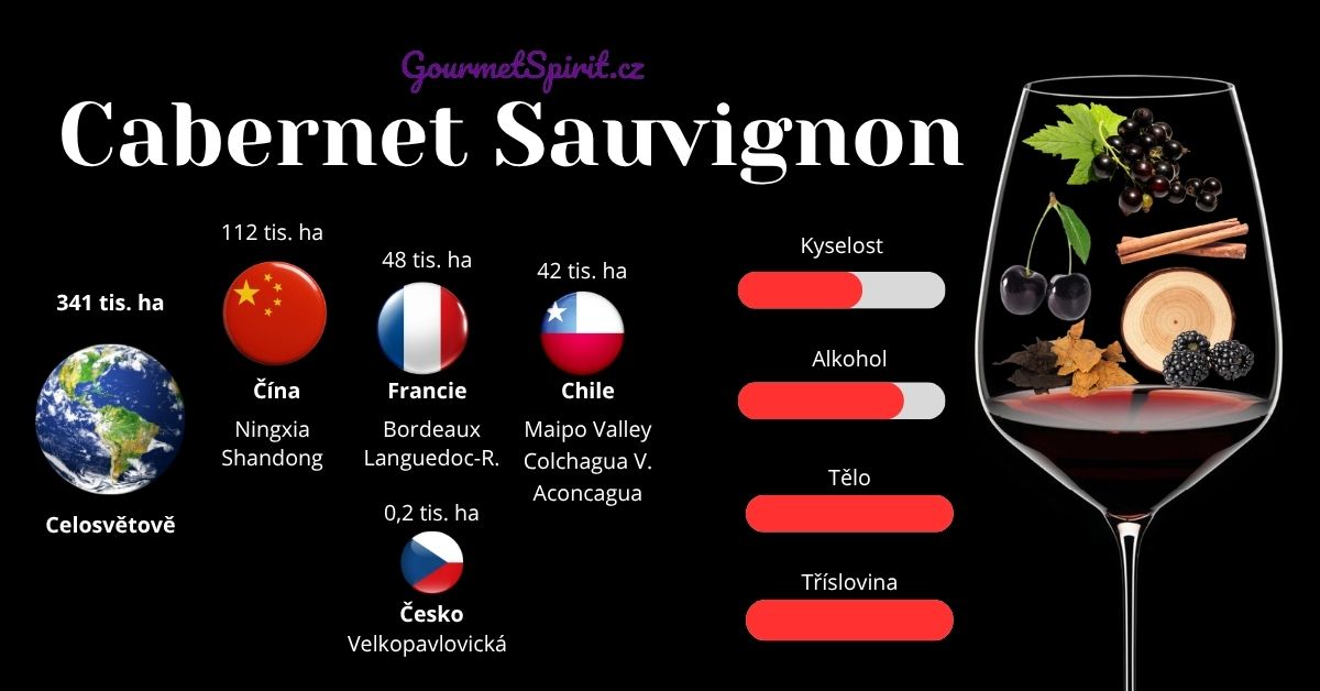 Cabernet Sauvignon infografika podle Gourmetspirit.cz