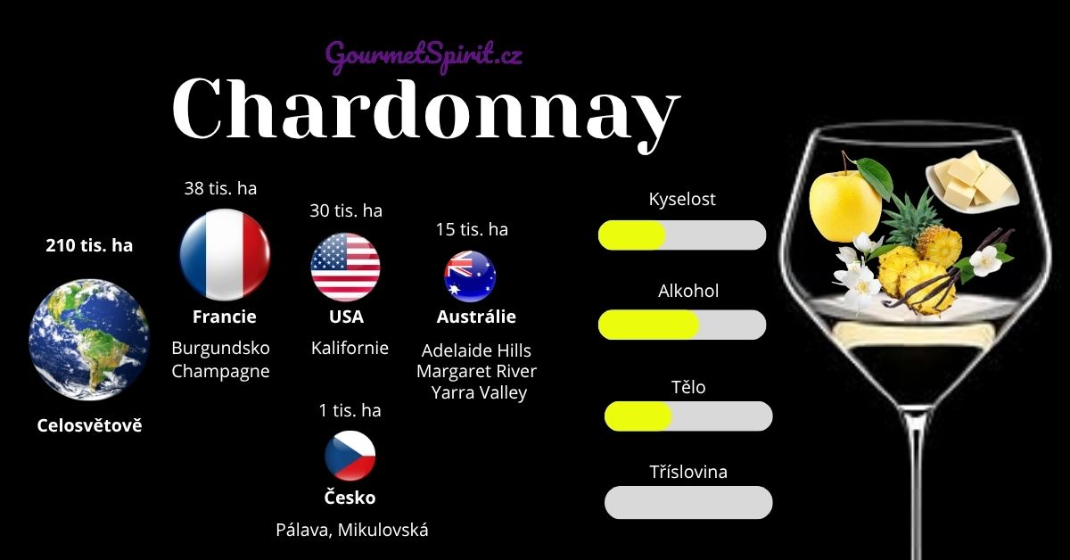 Chardonnay infografika podle Gourmetspirit.cz