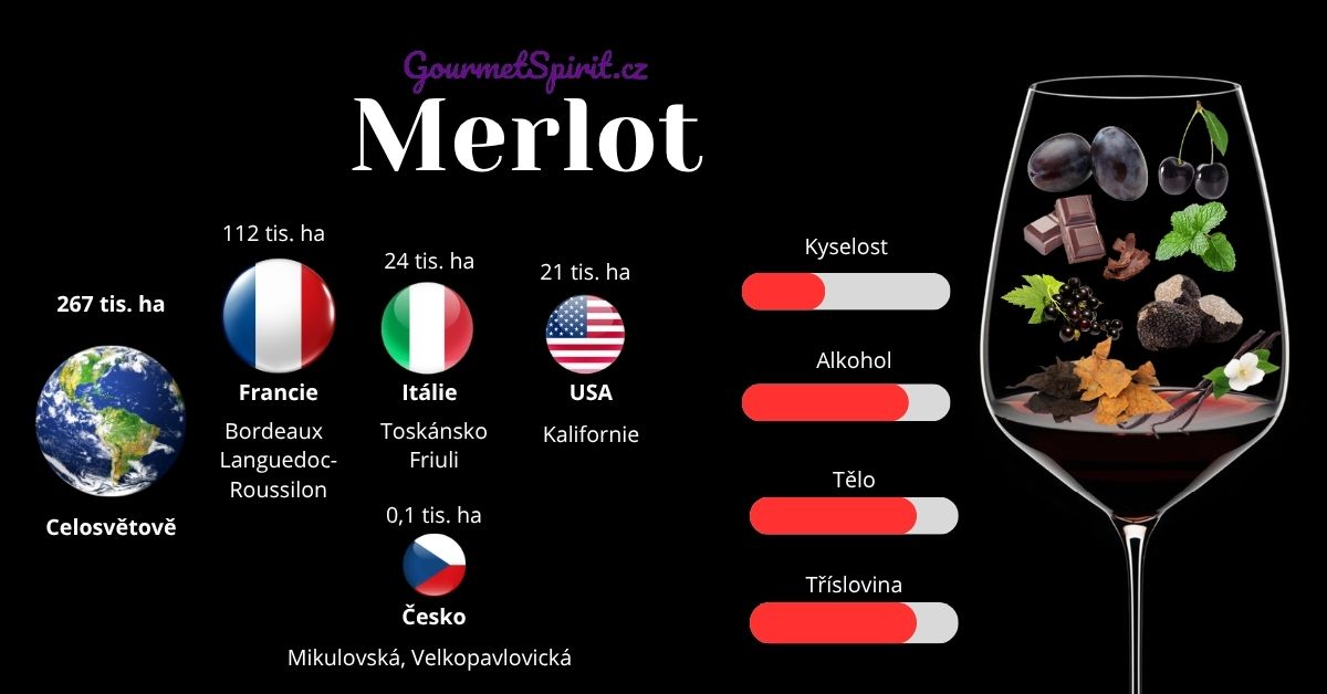 Infografika Merlot podle Gourmetspirit.cz
