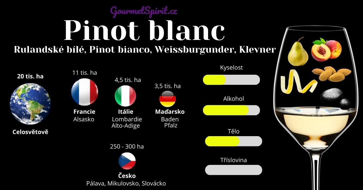 Pinot blanc, rulanndské bílé infografika podle gourmetspirit.cz