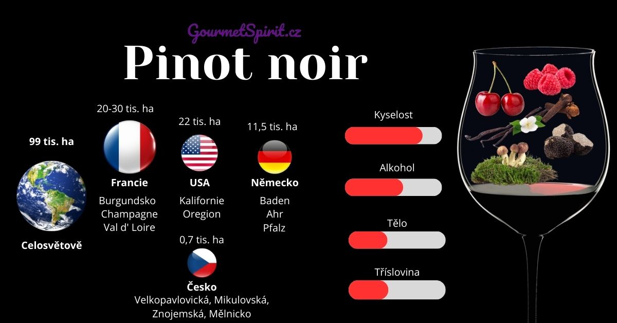Pinot Noir Rulandské modré infografika podle Gourmetspirit.cz