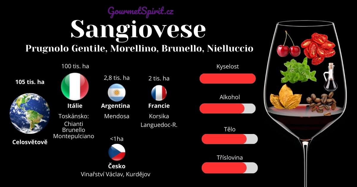 Sangiovese infografika podle Gourmetspirit.cz