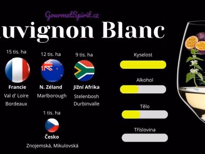 Infografika Sauvignon blanc podle Gourmetspirit.cz