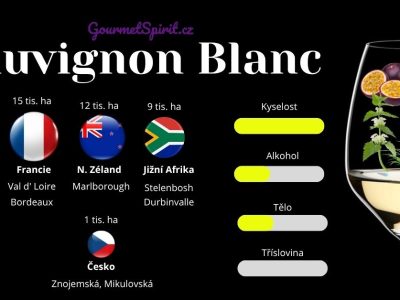 Infografika Sauvignon blanc podle Gourmetspirit.cz