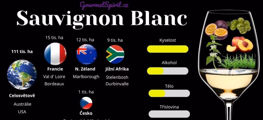 Infografika Sauvignon blanc podle Gourmetspirit.cz