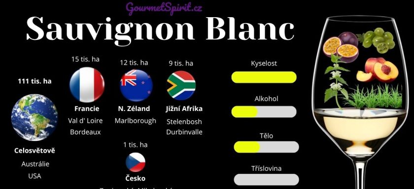 Infografika Sauvignon blanc podle Gourmetspirit.cz
