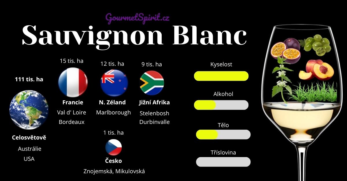 Infografika Sauvignon blanc podle Gourmetspirit.cz