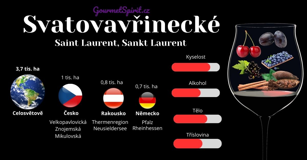 Víno Svatovavřinecké, Saint Laurent infografika podle gourmetSpriit.cz