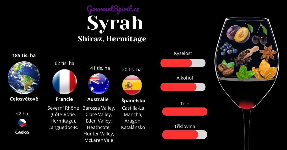 Syrah Shiraz infografika podle Gourmetspirit.cz
