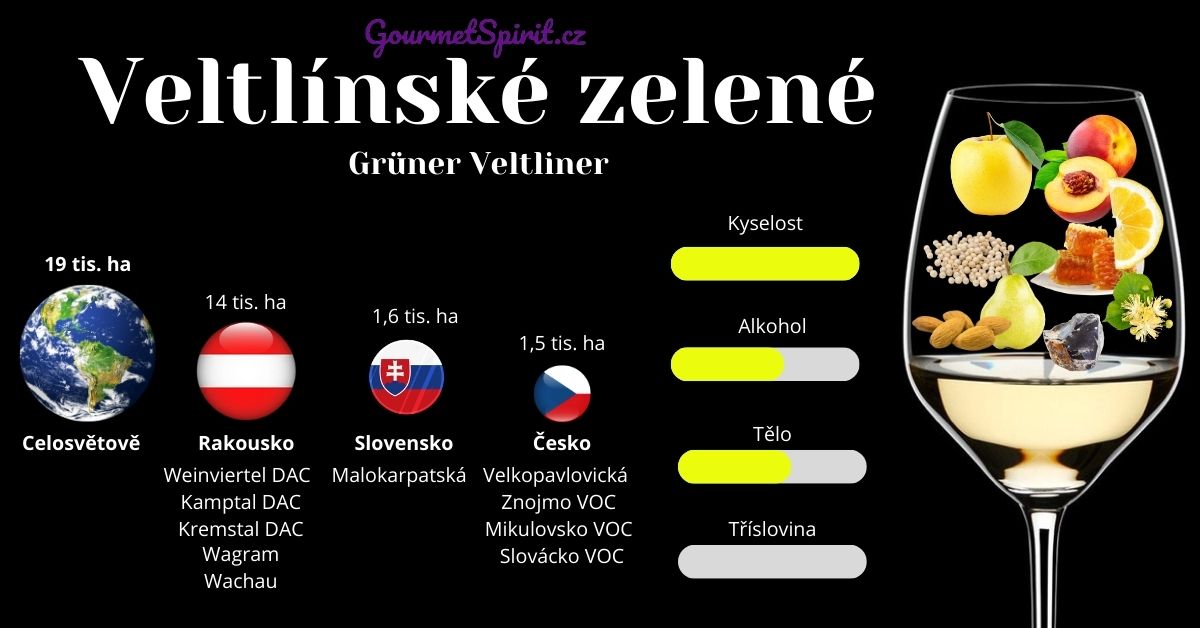 Veltlínské zelené infografika podle GourmetSpirit.cz