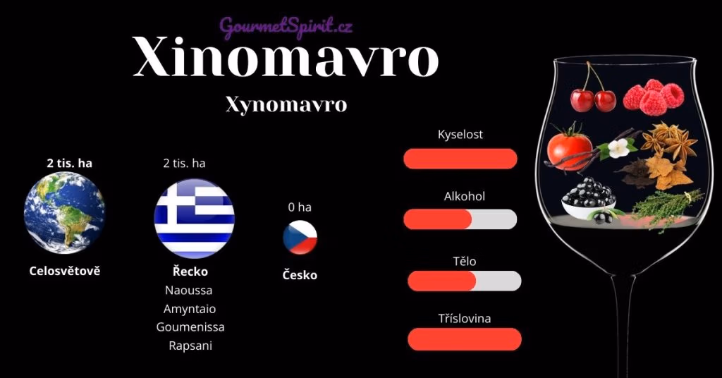 Xinomavro infografika podle Gourmetspirit.cz