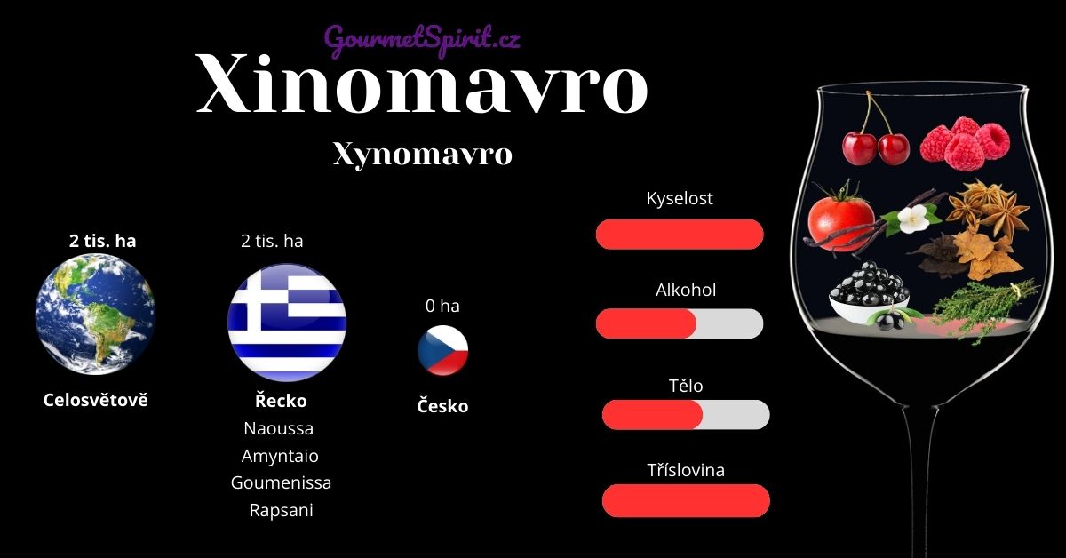 Xinomavro infografika podle Gourmetspirit.cz