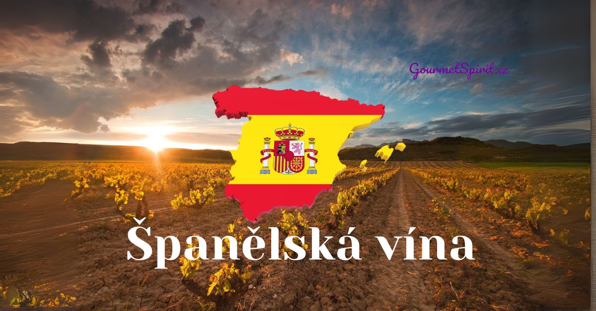 španělské víno