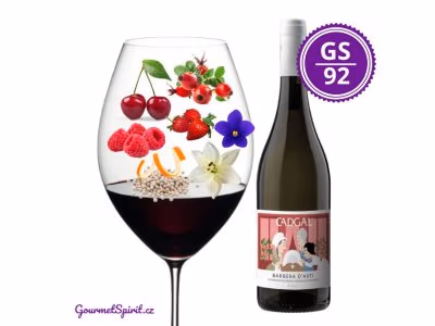 CADGAL Barbera d' Asti MAVI 2023