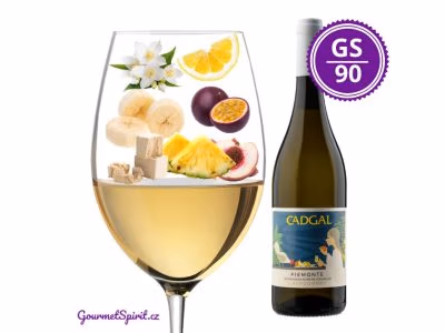 CADGAL Chardonnay 2023