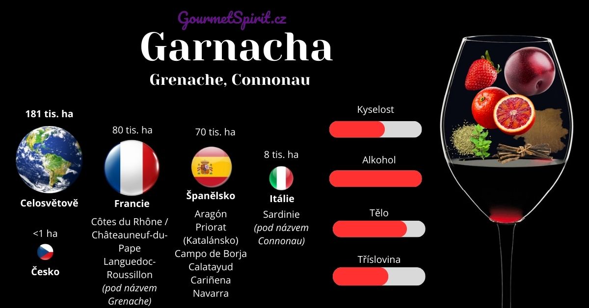 Garnacha | Grenache infografika podle gourmetspirit.cz