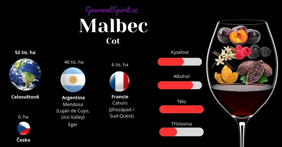 Malbec infografike podle Gourmetspirit.cz