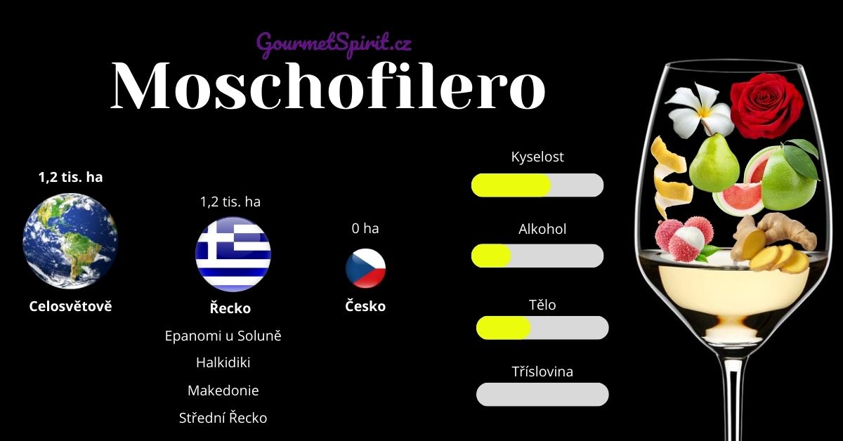 Moschofilero víno 
infografika podle GourmetSpirit.cz