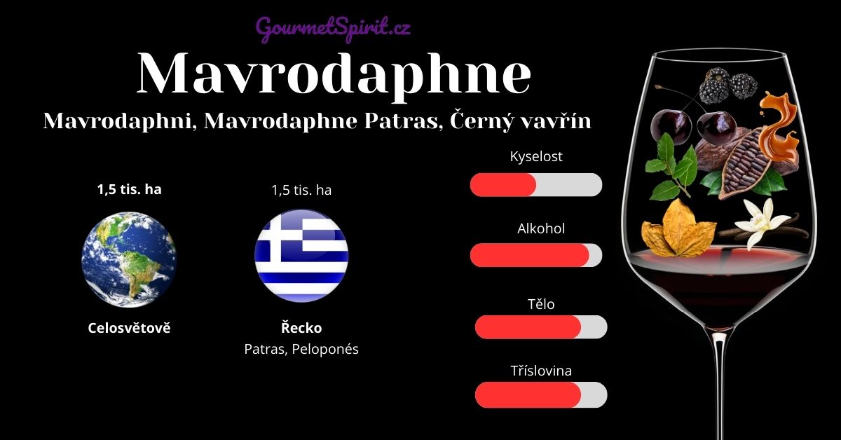 Mavrodaphne víno infografika podle GourmetSpirit.cz