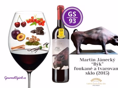 Frankovka Pinot Noir Art in Glass - Martin Jánský Býk