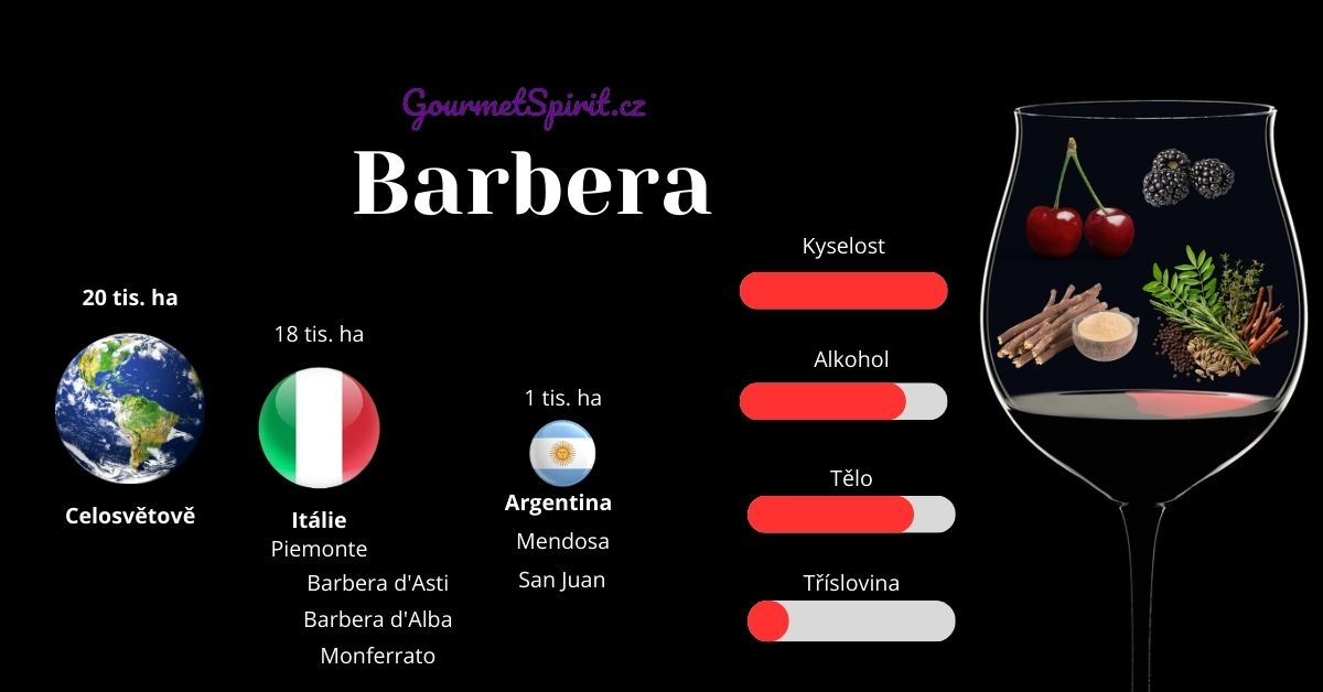 Odrůda Barbera infografika podle GourmetSpirit.cz